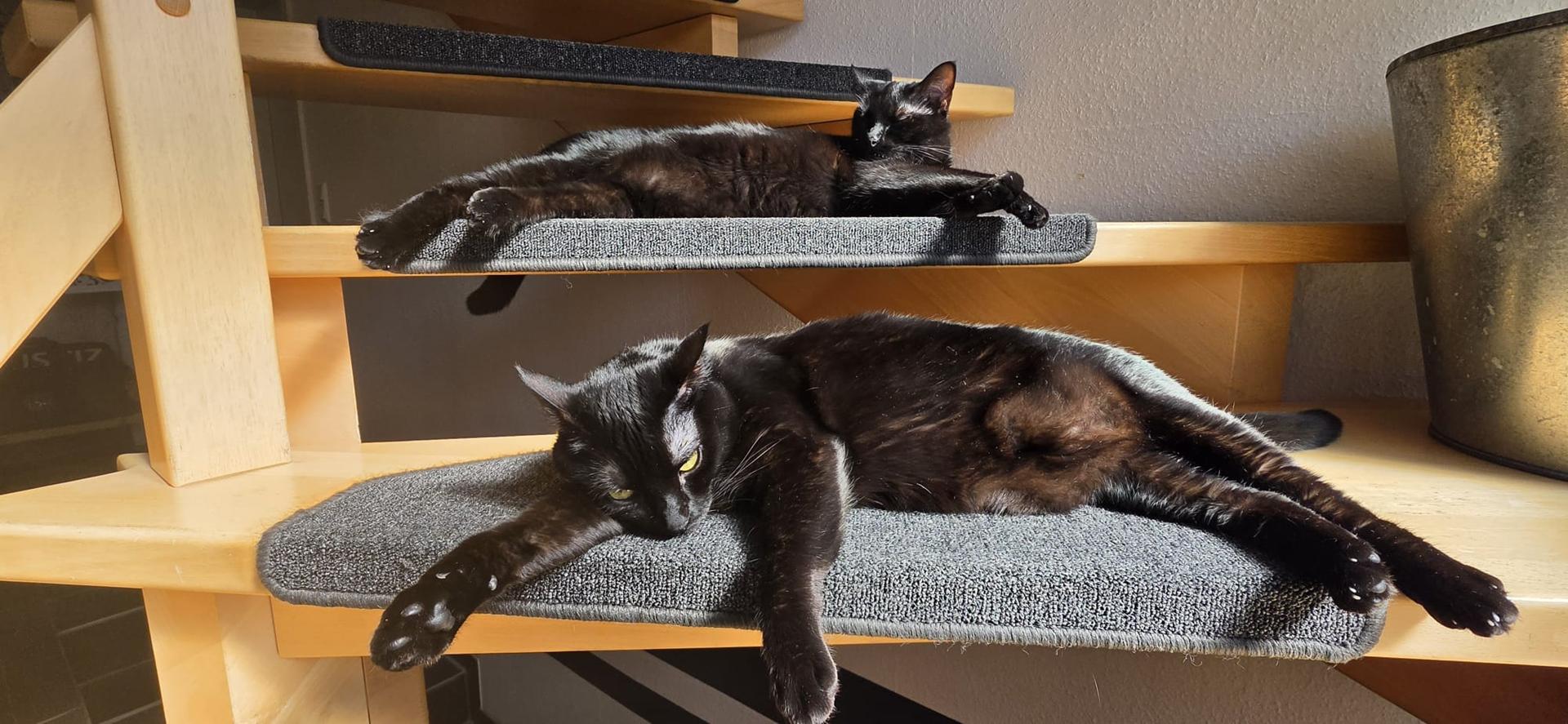 Illa & Isa (ehem. Ida)