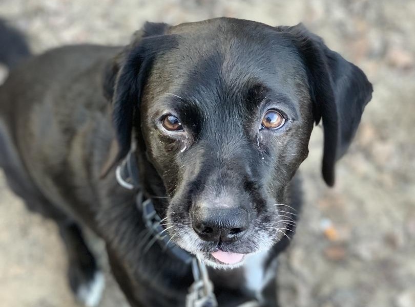 Mailo (ehemals Alan)