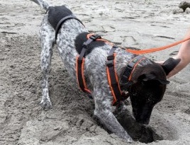 Baxter